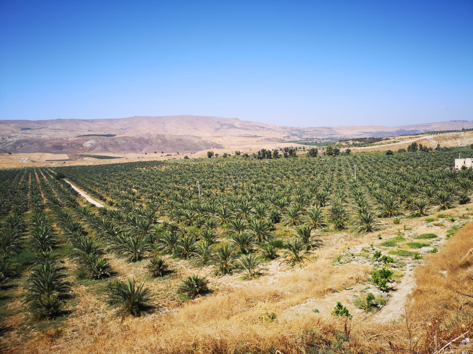 Processing Facilities